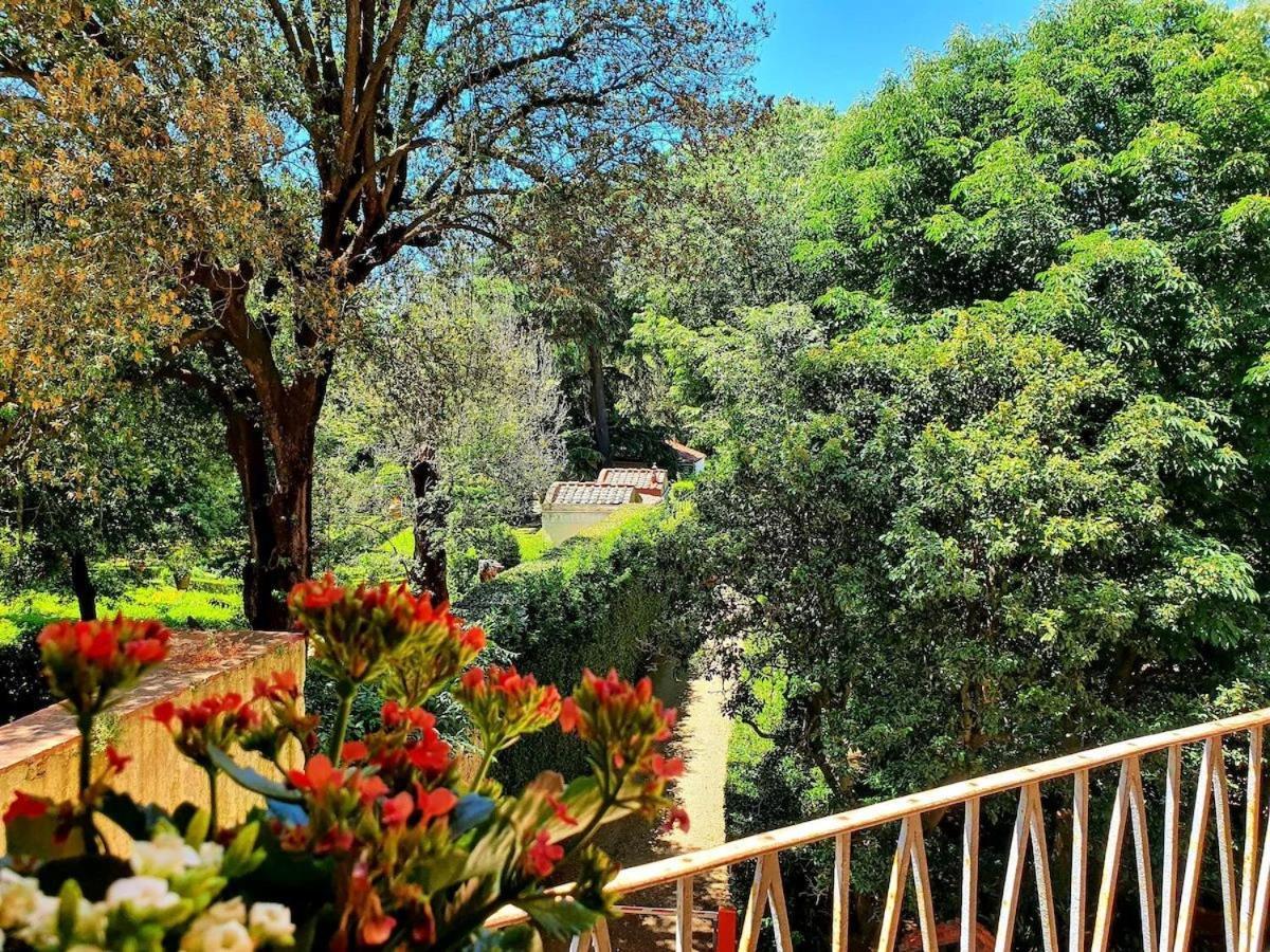 פירנצה Hotel Annalena מראה חיצוני תמונה